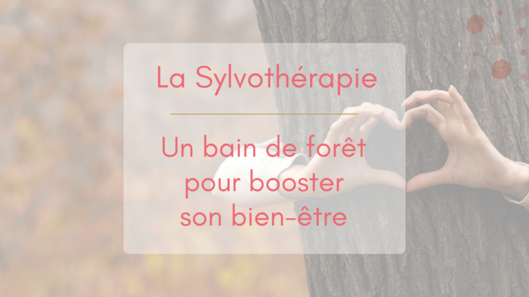 Des mains entourant un arbre dans une forêt forment un cœur, illustration pour article "La sylvothérapie, un bain de forêt pour booster son bien-être"