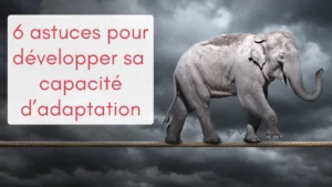 Un éléphant en équilibre sur une corde tendue, illustration de la capacité d'adaptation