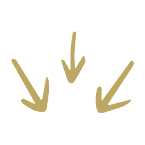 Arrows
