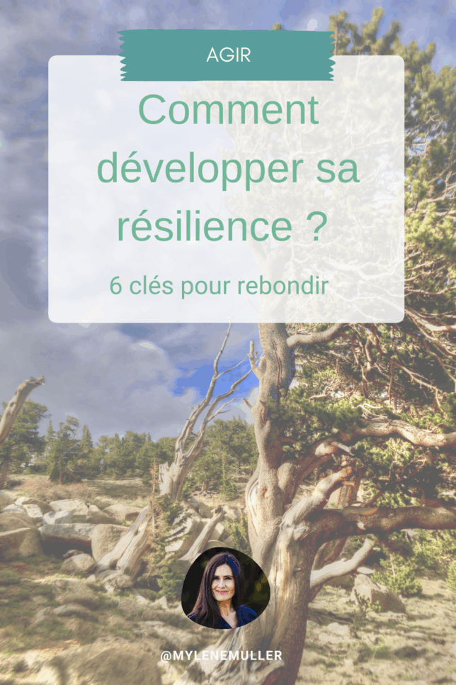 Photo d'arbres ayant résisté à la tempête, symbole de résilience naturelle